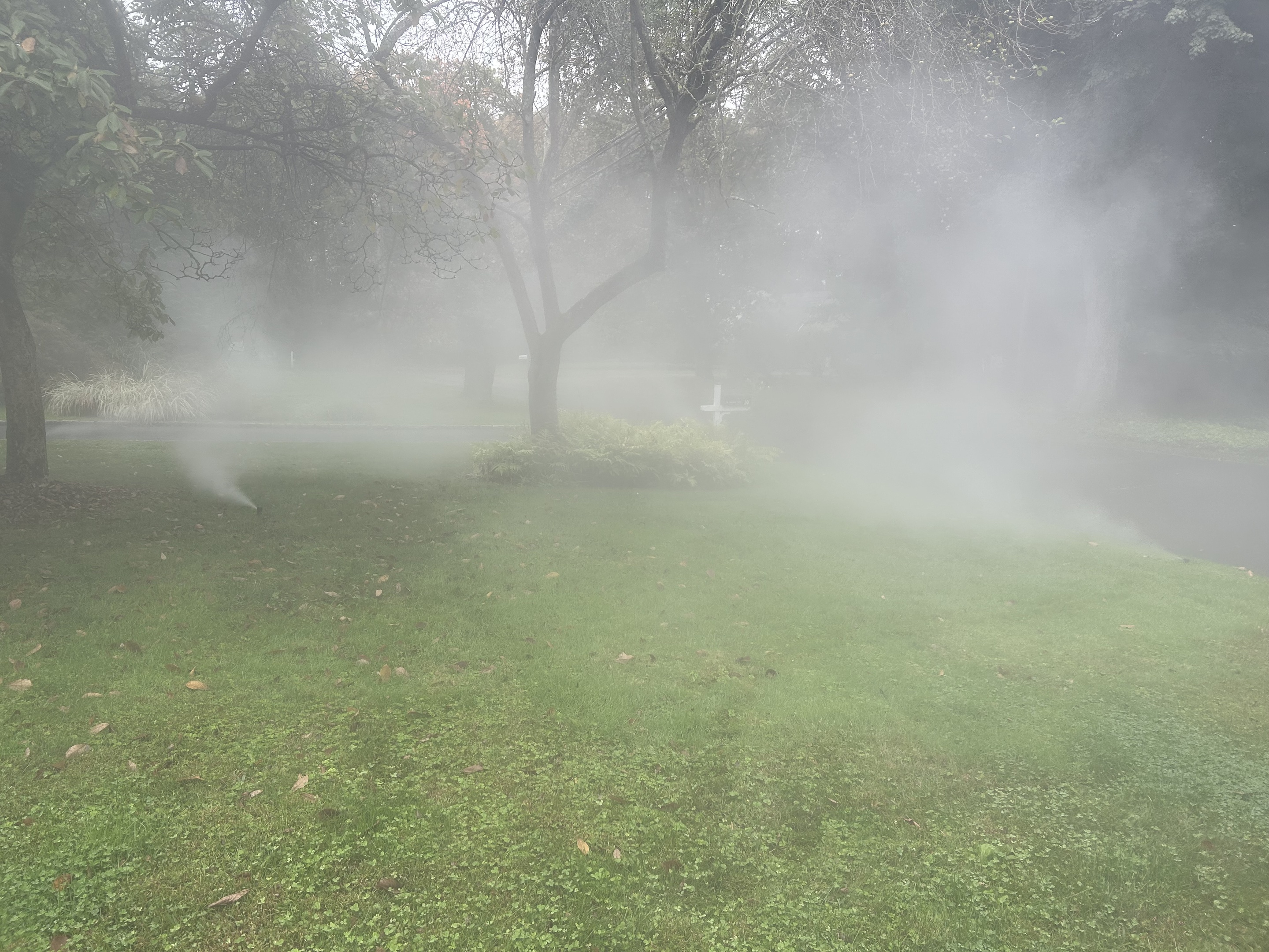Winterizing 